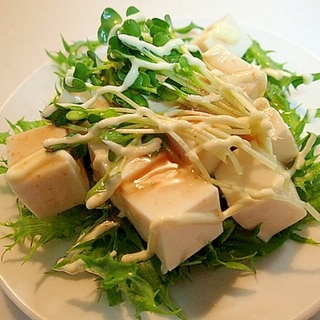 かけうめで　フリルレタスとかいわれ大根の豆腐サラダ